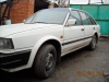 Nissan BLUEBIRD  