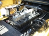 Caterpillar DPL40  