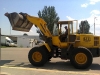 Komatsu WA-250-5L  
