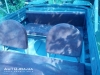 Прогресс 2М  