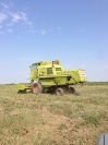 Продажа подержаных авто claas dominator  Херсон