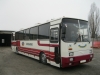 Ikarus 250  