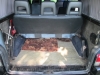 Volkswagen transporter T4 