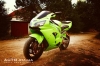 Kawasaki  Ninja   