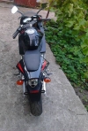 Stinger GSPB-008  