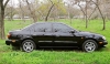 Nissan Maxima QX  