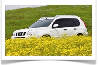 ВРЕМЯ ПОШЛО! Специальные предложения на автомобили Nissan 2010 года выпуска.