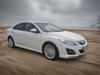 Владельцам Mazda6 с пауками предложили отдать авто защитникам животных