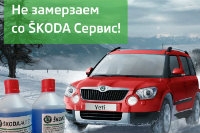 Не замерзаем со SKODA Сервис!