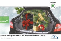 Покупай SKODA в декабре!