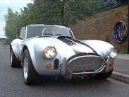 Cobra 