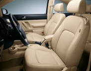 Volkswagen New Beetle