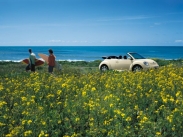 Volkswagen New Beetle Cabriolet