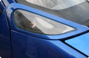 BIOAUTO Eva-5